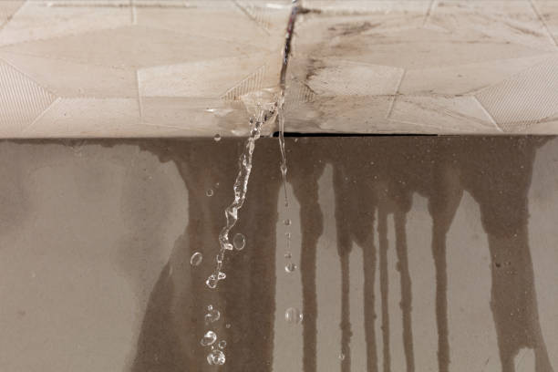 Professional Burst Pipe Cleanup technician working in Gallant, AL